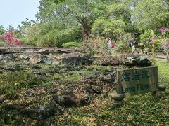 -海口火山口国家地质公园