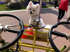 -南通洲际绿博园