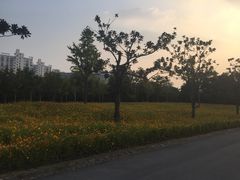 -大宁灵石公园西门票处