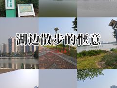 -飞来湖湿地公园