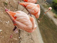 -大连老虎滩海洋公园