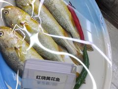 -大众海鲜(巨龙北路店)