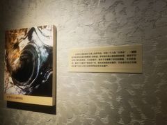 -巴音郭楞蒙古自治州博物馆
