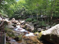 -丹东天桥沟景区