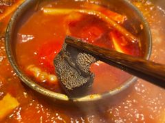 -蜀九香火锅(李家沱店)