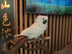 -锦府盐帮·李宅(领展购物广场中关村店)