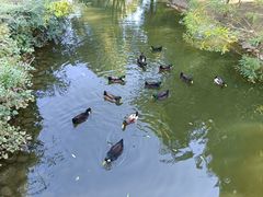 -长白岛森林公园