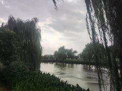 -昆明动物园