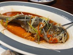 -前海沿·青岛菜(五四广场永旺店)