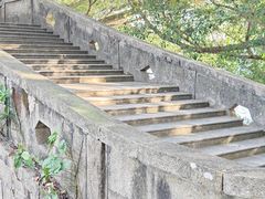 -广州市流溪河国家森林公园