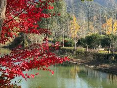 -黄陂区野村谷景区