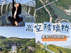 -《神游传奇》秀