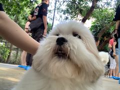 -TrueLove @ Neverland (Husky Cafe)