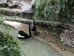 -上海虹桥迎宾馆