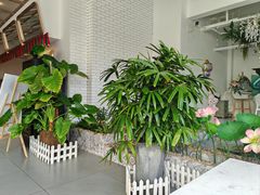 -ins森林童话餐厅coffee&bistro