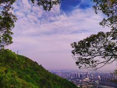 -惠山国家森林公园