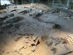 -自贡恐龙博物馆