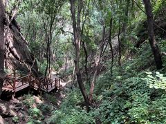 -大岭沟猕猴桃谷风景区