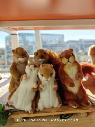 -IMON·HANSA潮玩玩偶毛绒玩具(通州万象汇店)