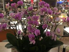 -Ur Garden中庭花园•逸餐厅(福田CBD逸扉酒店)