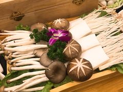 -潘小辣鲜肉老火锅