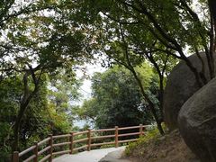 -火炉山森林公园