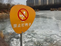 -前关湿地公园