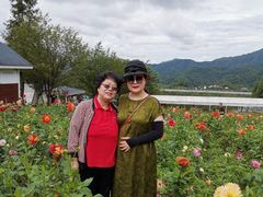 -小八仙·宴(三峡茶庄店)