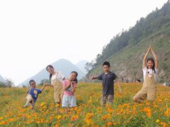 -武陵山森林公园