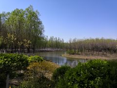 -东郊湿地公园