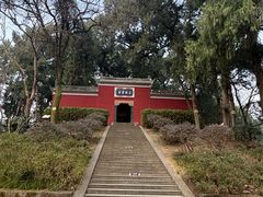 -子昂故里文化旅游区