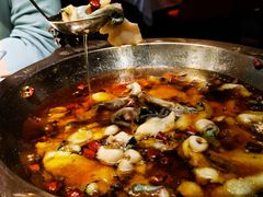 -雲蜀龙阁·金牌水煮鱼(方庄店)