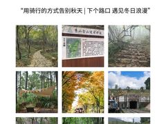 -紫藤园·天目湖大鱼头(南山竹海店)