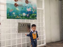 -九龙公园