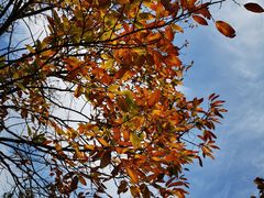 -天津盘山风景名胜区