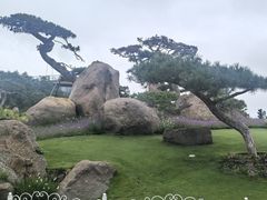 -罗红摄影艺术馆