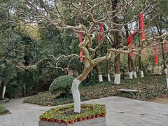 -南山风景名胜区