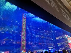 -成都浩海立方海洋公园