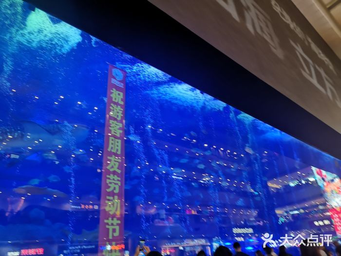 成都浩海立方海洋公园图片