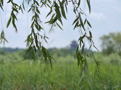 -永定河休闲森林公园