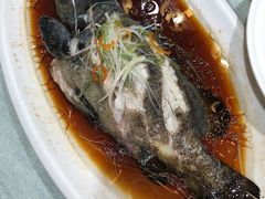 清蒸老虎斑-申宴酒楼(王子百货店)