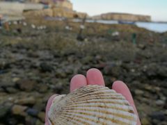 -石槽海滨浴场