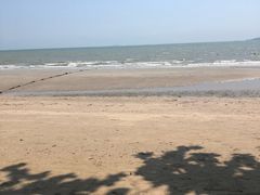 -卷心菜和避孕套餐厅(Pattaya)