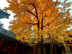 -承恩寺