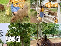 -盈香心动乐园