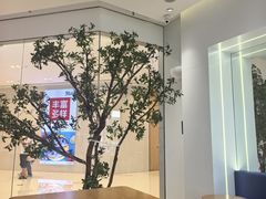 -茶百道(江津吾悦广场店)