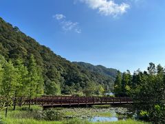 -广州市石门国家森林公园