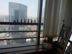 -JNK皮肤管理中心