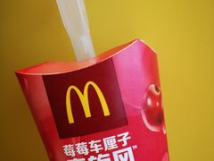 -麦当劳(塔园路店)