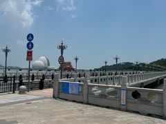 -野狸岛
